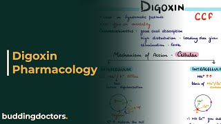 Digoxin  Digoxin mechanism of action  Digoxin toxicity [upl. by Akierdna29]