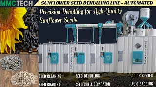 Sunflower Seeds Dehulling Plant  How Does the Dehulling Process Work [upl. by Uliram718]