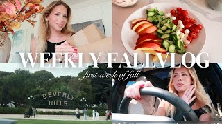 weekly fall vlog grocery haul the grove amp chit chat [upl. by Annyahs]