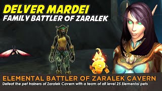 Delver Mardei Elemental team  Family Battler of Zaralek Cavern [upl. by Nottap135]