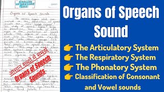 Speech organs in Phonetics  Organs of Speech Sounds  Organs of Speech in English Phonetics [upl. by Ethe171]