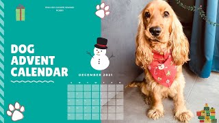 🐶Dog Advent Calendar 🐕 English Cocker Spaniel  Robby 🐾 Part  1 [upl. by Axel]