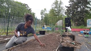 Garden Work Continues Planting Corn  Vlog [upl. by Jaala799]