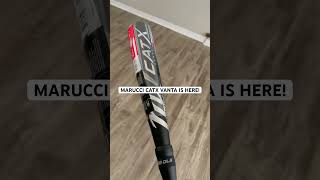 Marucci CatX Vanta is HERE catxvanta marucci baseball newbats vanta [upl. by Cyndie]