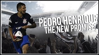 Pedro Henrique ► The New Promise  Defensive Skills  2017 [upl. by Comras652]