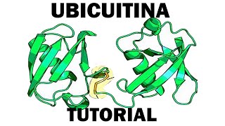 ¡¡ UBIQUITINA  TODO LO QUE NECESITÁS SABER😨😨 con este video vas a aprobar tu examen [upl. by Kessler]