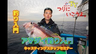 アマダイ釣り入門！【つりにいこうよ。】 初心者必見、甘鯛釣りの始め方 [upl. by God]