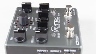 Source Audio Ventris Dual Reverb [upl. by Fenton464]