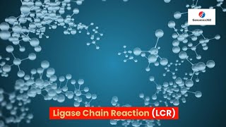 Ligase Chain Reaction LCR [upl. by Ahsitil]