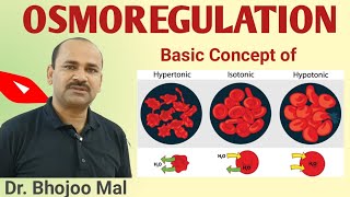 Osmoregulation  What is Osmoregulation  Hypertonic  Hypotonic  Isotonic  by Dr Bhojoo Mal [upl. by Raskin]