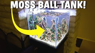 INSANE MARIMO MOSS BALL AQUARIUM SETUP  AQUASCAPE [upl. by Ferrell]