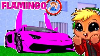 I STOLE Flamingos Car in Roblox ROBLOX STORY [upl. by Enyamart537]