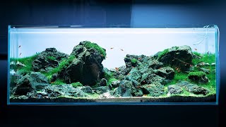 IWAGUMI AQUASCAPE  4K CINEMATIC  GREEN AQUA [upl. by Christabelle]