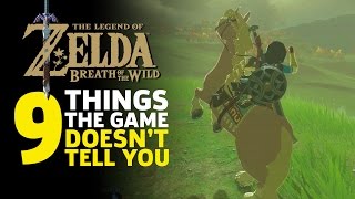 How To Get Shard of Naydras Horn  Ice Dragon  Zelda Breath of the Wild [upl. by Fair]