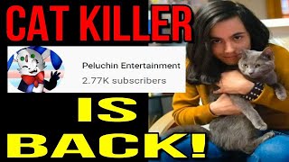 Peluchin Entertainment Is Back On Youtube [upl. by Florio]