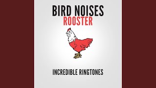 Rooster Sound Effect Ringtone [upl. by Enaled]