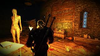 Creepy Ghost in Towerful of Mice  The Witcher 3 [upl. by Ahsitram]