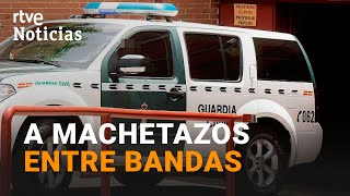 BANDAS LATINAS 11 DETENIDOS tras el ASESINATO de un JOVEN en MADRID  RTVE Noticias [upl. by Jenifer]