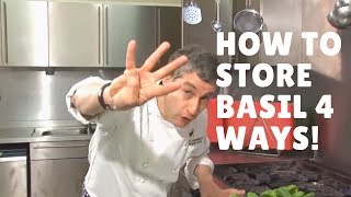 How To Store Basil  Four Ways [upl. by Vergos136]