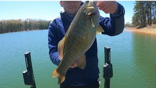 Smallmouth bass caught in the state of Georgia Lake Blue Ridge Fishing 41324 [upl. by Eedak959]