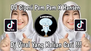 DJ CIPERI PAM PAM X HANSEN VENDI AGUS VIRAL TIK TOK TERBARU 2023 YANG KALIAN CARI [upl. by Otila]