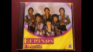 Los Felinos Testigo [upl. by Bora25]