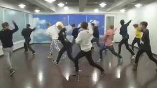 EXO WOLF Practice full version [upl. by Renae858]