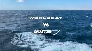 World Cat VS Boston Whaler Battle of the Boats [upl. by Merrily]