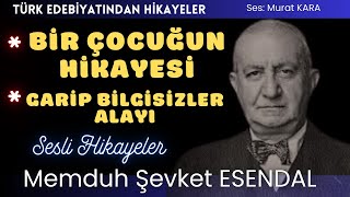 quotBir Çocuğun Hikayesiquot quotGarip Bilgisizler Alayıquot Memduh Şevket Esendal Hikayeleri [upl. by Omissam]