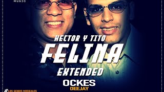 Felina Extended  Héctor Y Tito  Ockes DJ LG Music The Old School [upl. by Bouldon]