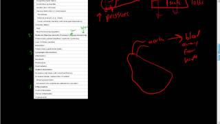 42Hemodynamic DisordersEdemaIncreased Hydrostatic Pressure [upl. by Trella]