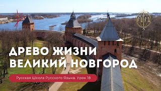 Урок 18 Древо жизни Великий Новгород  Русская школа русского языка Виталий Сундаков [upl. by Allerie285]