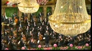 The Vienna Philharmonic New Years Concert 2011  Johann Strauss  Waltzer HD [upl. by Vergil524]