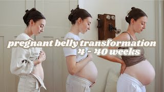 Pregnant Belly Growth from 4 Weeks to 40 Weeks with Baby 4 [upl. by Dedra271]