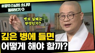 깊은 병에 들면 어떻게 해야 할까 초심으로 돌아가는 광우스님의 소나무 시즌3 몰아보기 [upl. by Namolos362]