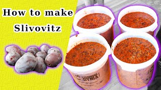 How To Make Homemade Plum Brandy  Slivovitz [upl. by Dulce458]