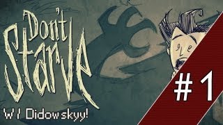 Zagrajmy w Dont Starve 1  Poradnik quotJak zacząćquot [upl. by Ayekin]