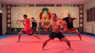 Shaolin Qigong Voume 1 2nd Movement  Kai Gong Shi [upl. by Griswold551]