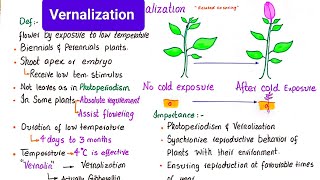 Vernalization  vernalization in plants  class 12 [upl. by Massimo]