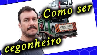 Quer um BOM EMPREGO na cegonha e não sabe como Aperte o play agora  VIDA DE ESTRADEIRO 03 [upl. by Disharoon]