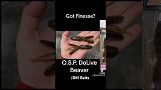 How To Catch Bass Finesse Fishing OSP DoLive Beaver bassfishing fishing fishingvideo baits [upl. by Tallou336]