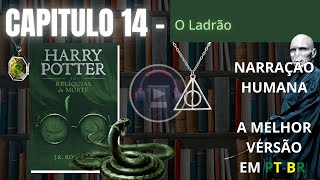 Harry Potter e as Relíquias da Morte ⚡ CAPITULO 14 Audiolivro em PTBR [upl. by Vivianna214]