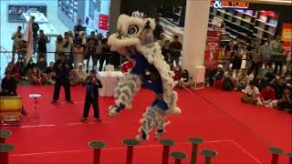 Barongsai Lion Dance Pole Banten 2023 Pre National Sports Week Pluit Village Jakarta Indonesia [upl. by Colman]