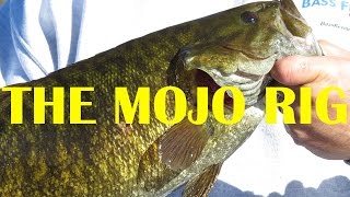 The Mojo Rig Split Shot Rig  How To  Bass Fishing [upl. by Ycaj]