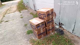 Petco cannot seem to deliver packages properly by choosing cheap delivery at customers expense [upl. by Declan438]