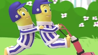 The Gardening Bananas  Animated Episode  Bananas in Pyjamas Official [upl. by Harman]