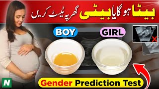 Beta Hoga Ya Beti  100 Results  Gender Prediction TEST At Home  Boy Or Girl [upl. by Gold685]