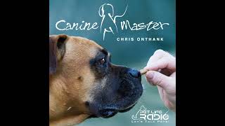 Canine Master  Episode 18 Mouthing and Chewing 101 Ouch Survival Guide to Help with Your Puppy [upl. by Begga]