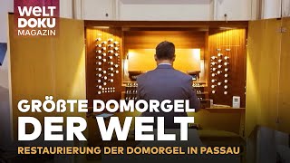 GRÖSSTE DOMORGEL DER WELT Restaurierung von Passaus monumentaler Domorgel  MAGAZIN [upl. by Territus143]