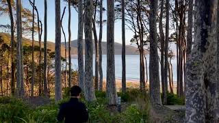 Depot Beach Murramarang National Park New South Wales Australia [upl. by Zsuedat119]